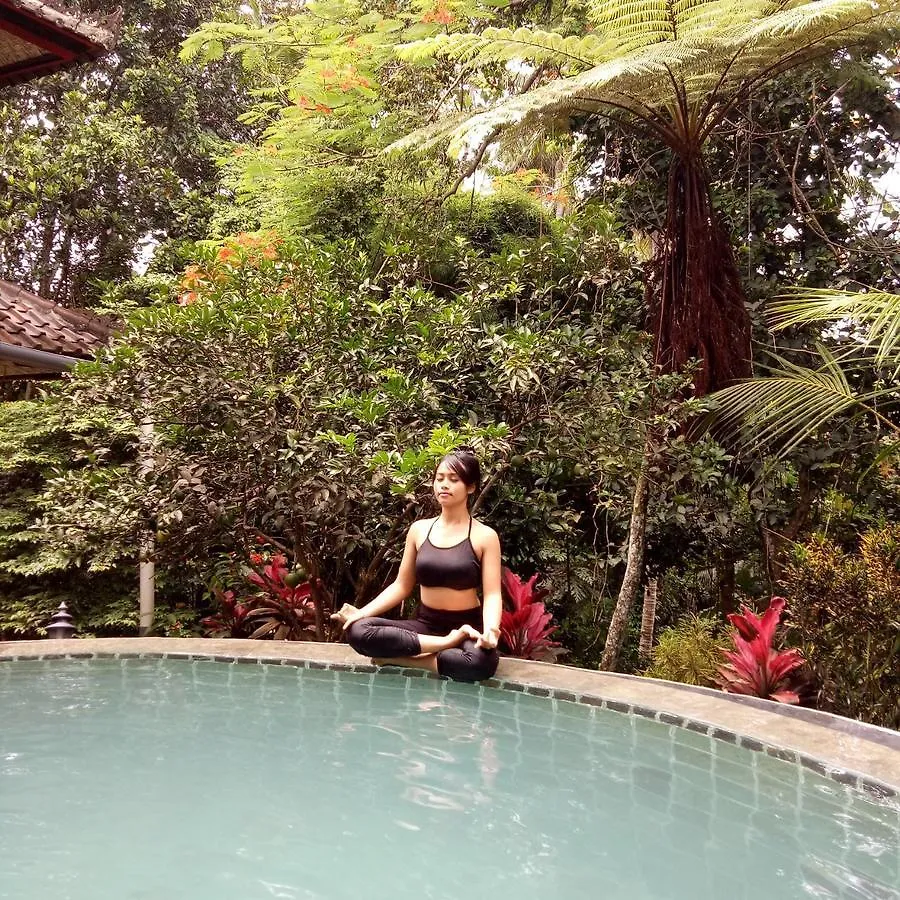 B&B Home Stay Griya Jungutan Ubud