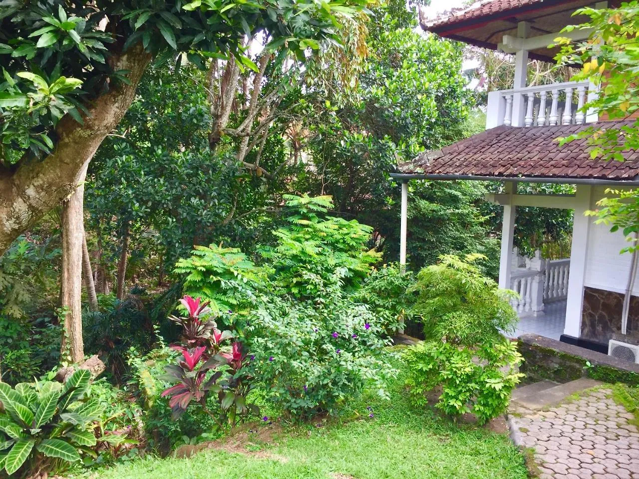 B&B Home Stay Griya Jungutan Ubud Nocleg ze śniadaniem